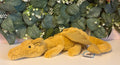 Jellycat Little Golden Dragon | NWT