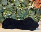 Jellycat Little Paris Panther