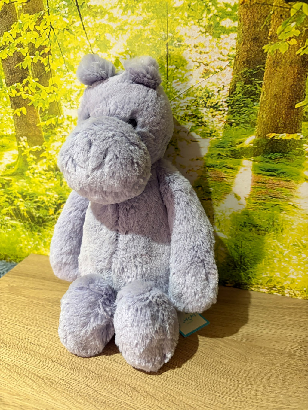Jellycat Bashful Hippo | Medium