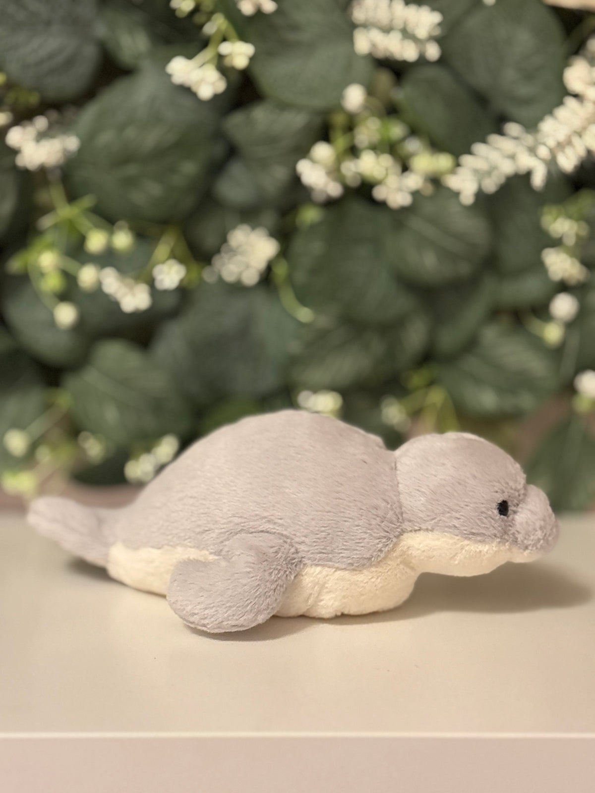 Jellycat Skidoodle Seal
