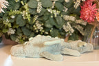 Jellycat Little Sage Dragon | NWT