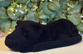 Jellycat Little Paris Panther