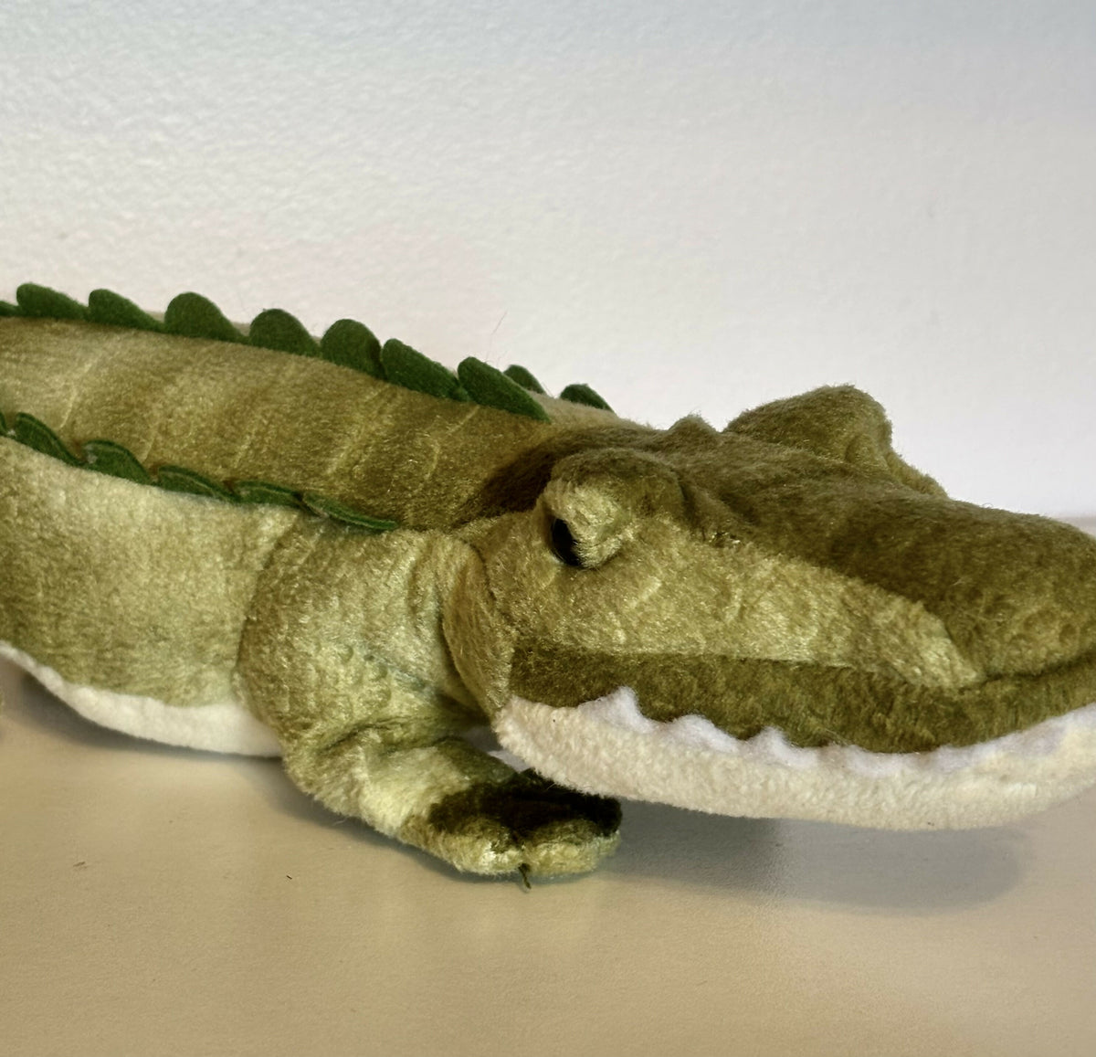 Douglas Snappy Alligator
