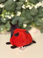 Jellycat Layla Ladybird