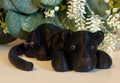 JellycatDreams 3D Paris Panther